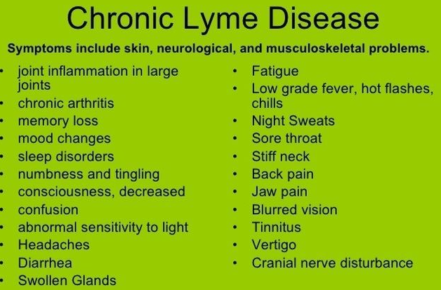 Chronic Lyme symptoms