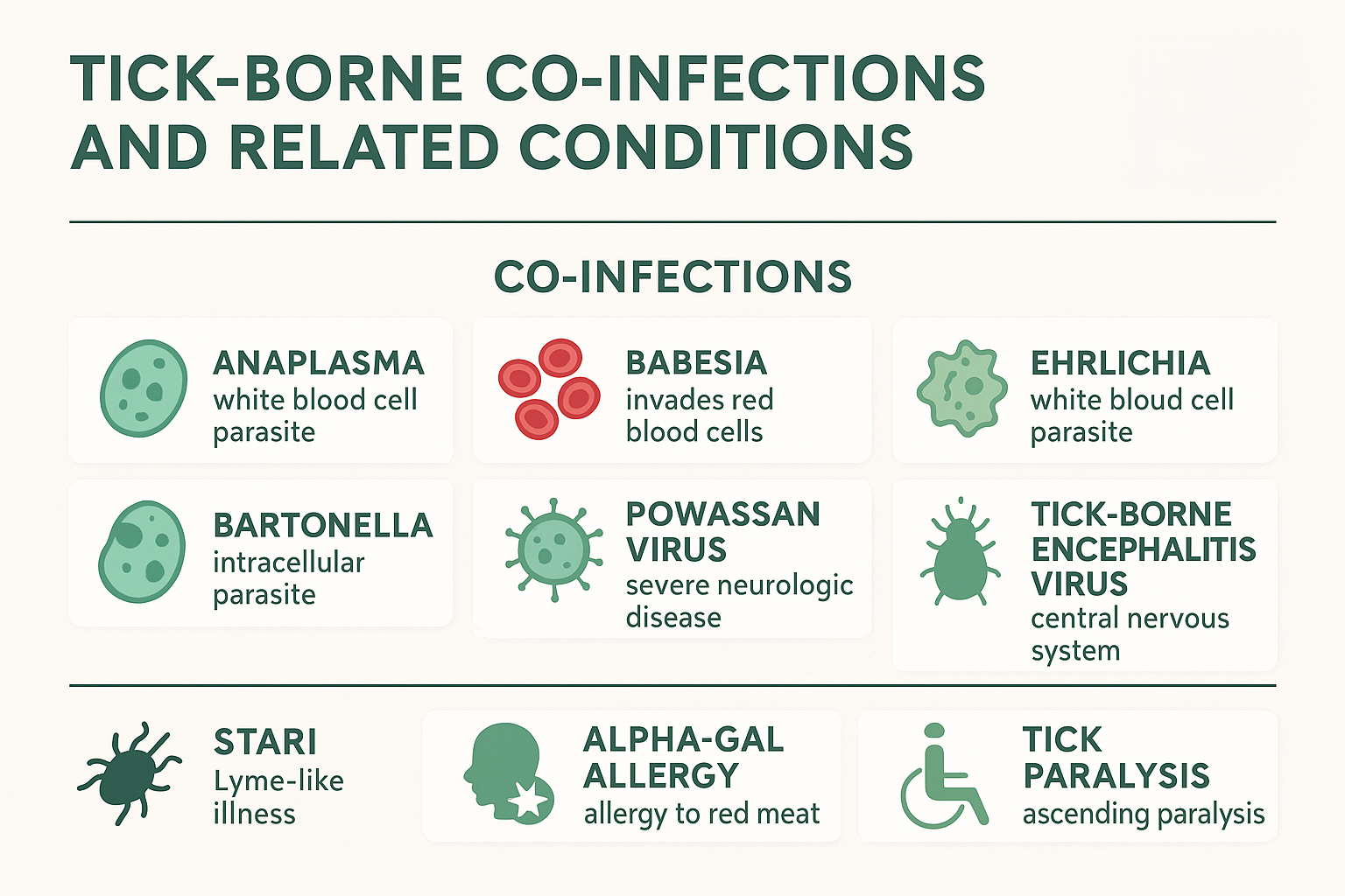 co-infection infographic